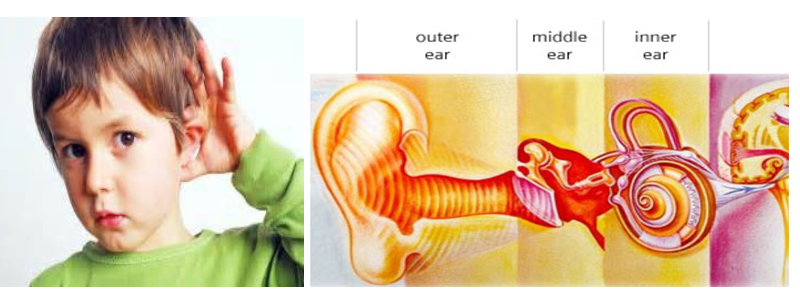 Hearing Loss