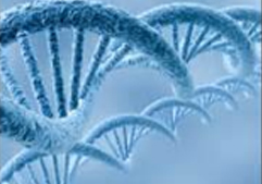 hereditary genetic