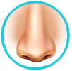nose
