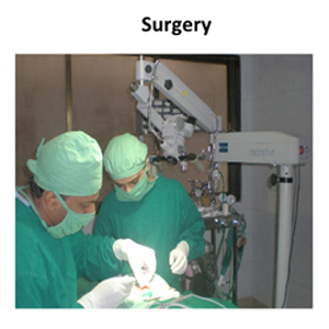 Surgery