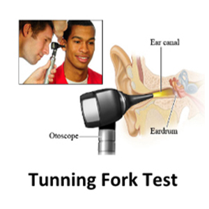 adults hearing loss